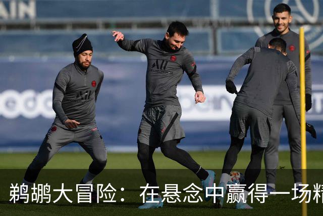 鹈鹕大冒险：在悬念中赢得一场精彩之战！